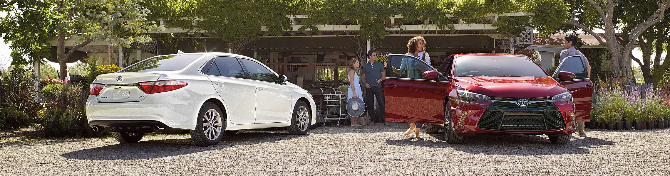 Fun Rental Specials