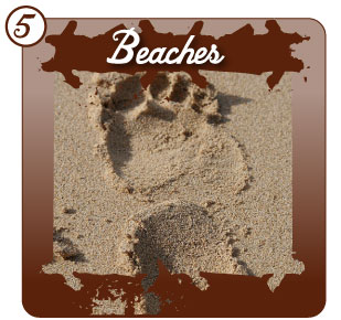 Beaches