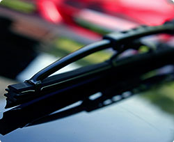 Windshield Wipers