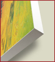 Edge Brace (White)